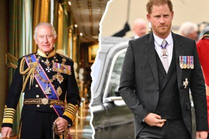 King Charles III and Prince Harry