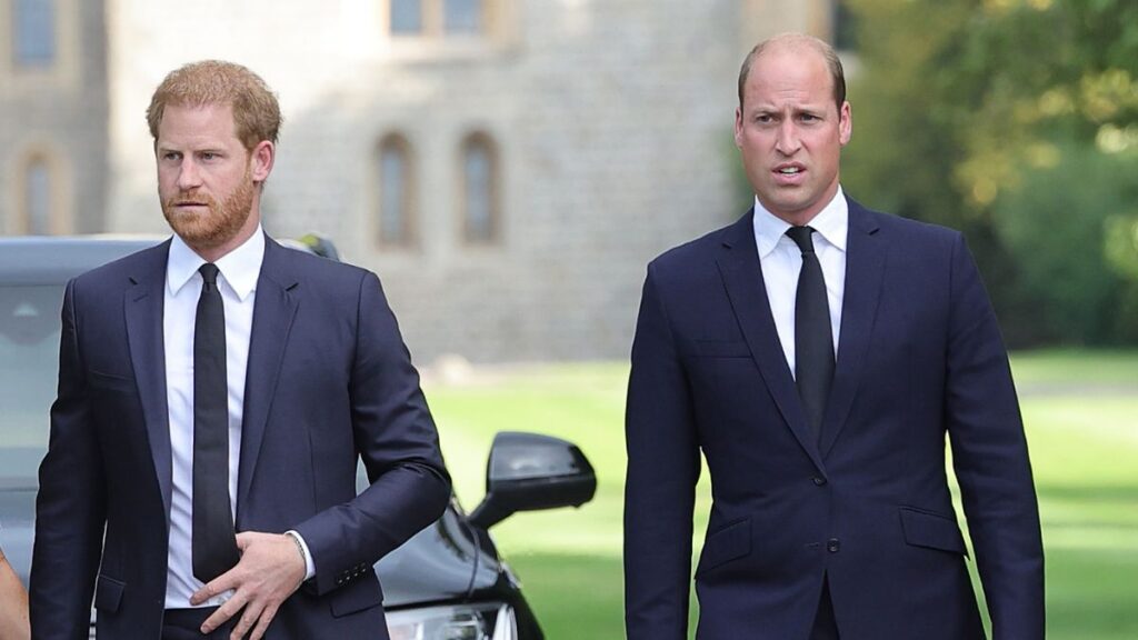 Princes William and Harry