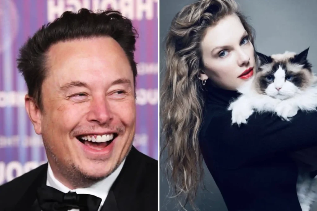 Elon Musk Offers to Father Taylor Swift's Child and Care for Her Cat